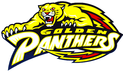 FIU Panthers 1994-2000 Primary Logo DIY iron on transfer (heat transfer)